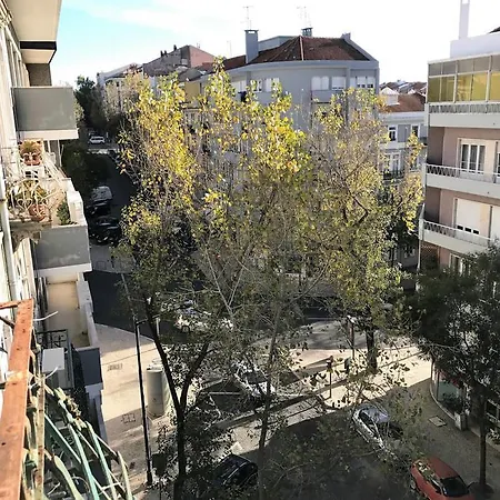 Homestay szállás New! Beautiful Spacious Flat In Central Location!